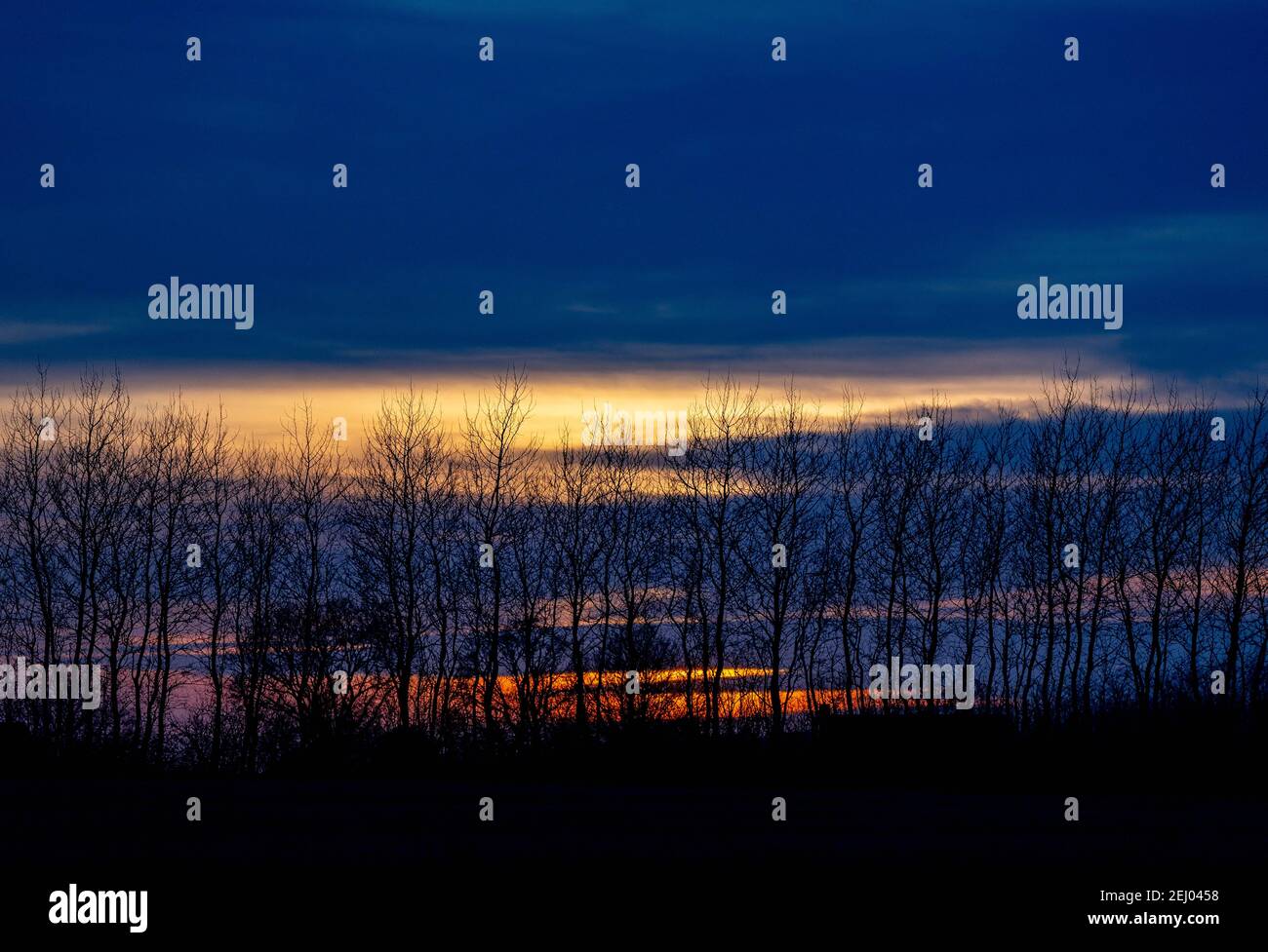 Surendorf, Deutschland. Februar 2021, 20th. Die Sonne untergeht hinter den Böschungen am Ufer der Eckernförder Bucht. Quelle: Axel Heimken/dpa/Alamy Live News Stockfoto