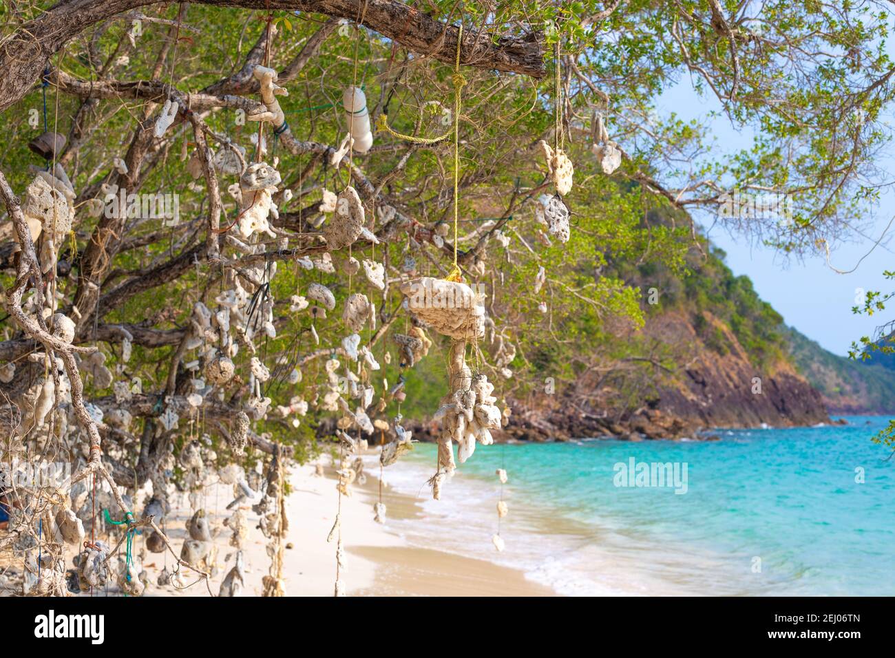 Wunschbaum. Korallen, die an einem Baum hängen, gebunden durch Fäden, an einer tropischen Küste in Thailand. Stockfoto