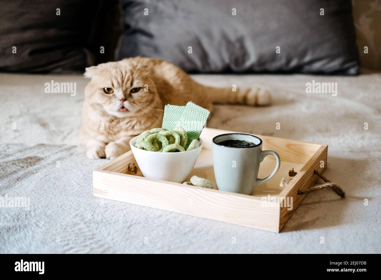 CBD-Esswaren, CBD-infundiert Snacks, Kuchen, Hanfwaffeln mit Cannabis. Testy CBD Snacks in Schüssel auf Leinenstoff natürlichen Hintergrund und Katze in der Nähe. Stockfoto