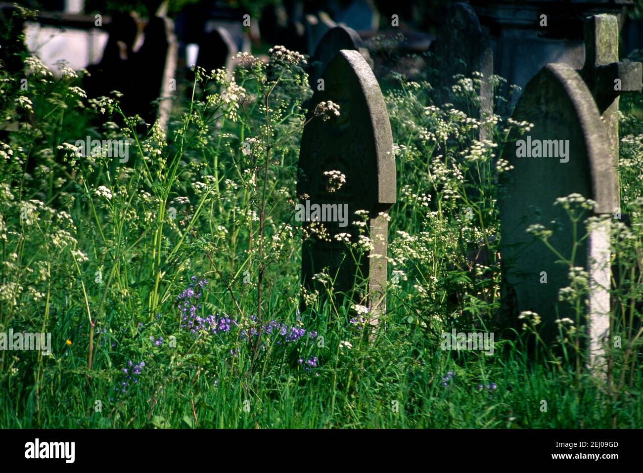 Kensal Green Cemetery London England Stockfoto