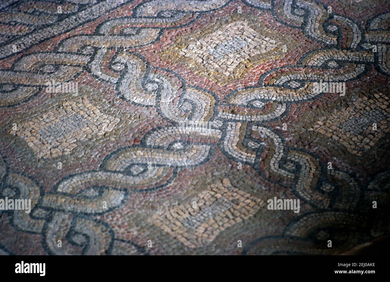 Constanta Rumänien das römische Mosaikgebäude 4. Jahrhundert Stockfoto