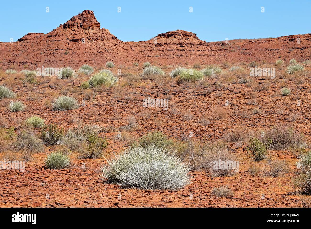 Zerklüftete Wüstenlandschaft mit Felsen und Wüstenpflanzen - südlich Namibia Stockfoto