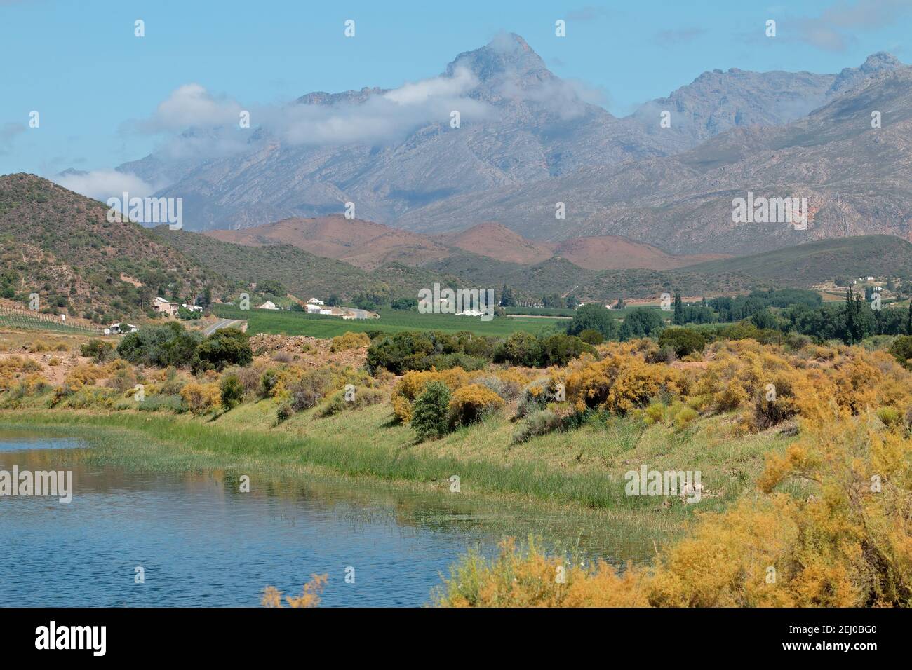 Kulturlandschaft von Ackerland vor dem Hintergrund der Berge, Western Cape, Südafrika Stockfoto