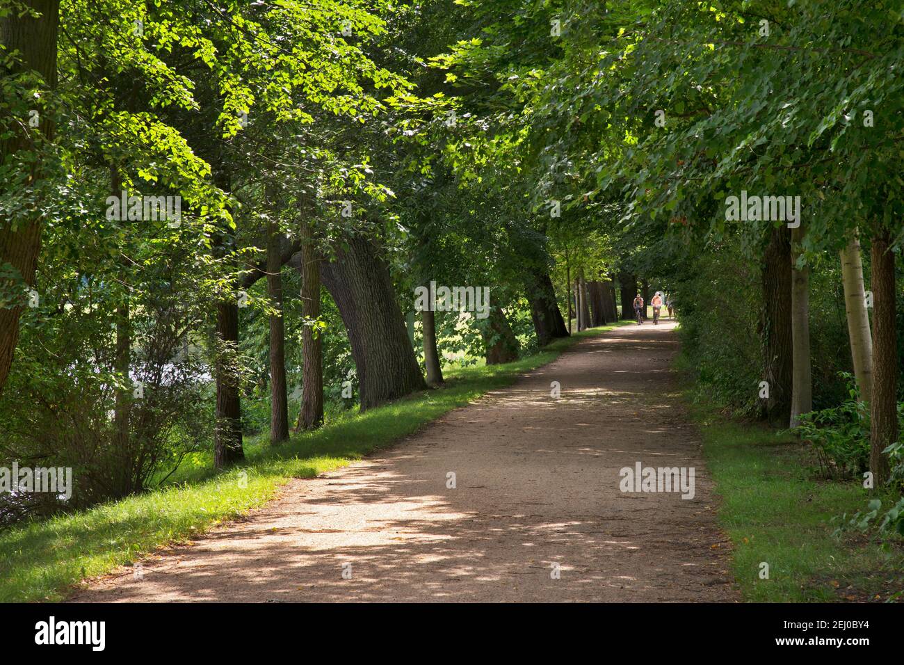 Park von Muskau (Park Muzakowski) bei Bad Muskau. UNESCO-Weltkulturerbe. Deutschland Stockfoto