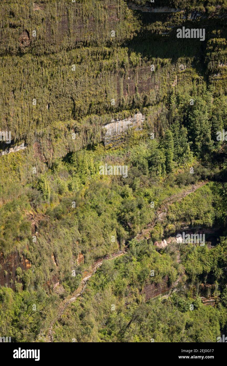 Govett's Hanging Garden von Barrow Lookout, Blackheath, Blue Mountains, New South Wales, Australien. Stockfoto