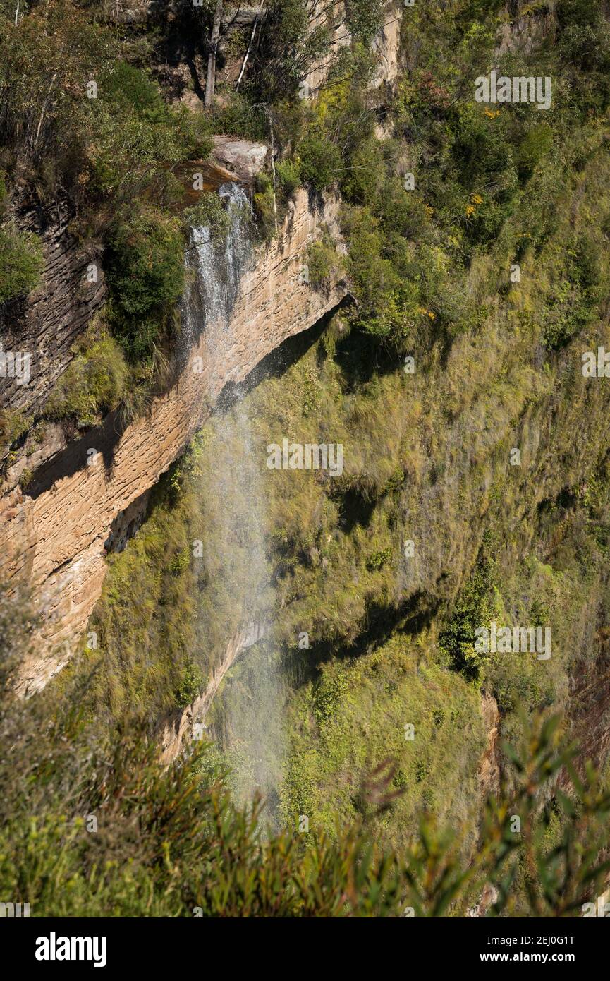 Govett's Leap Wasserfall von Barrow Lookout, Blackheath, Blue Mountains, New South Wales, Australien. Stockfoto