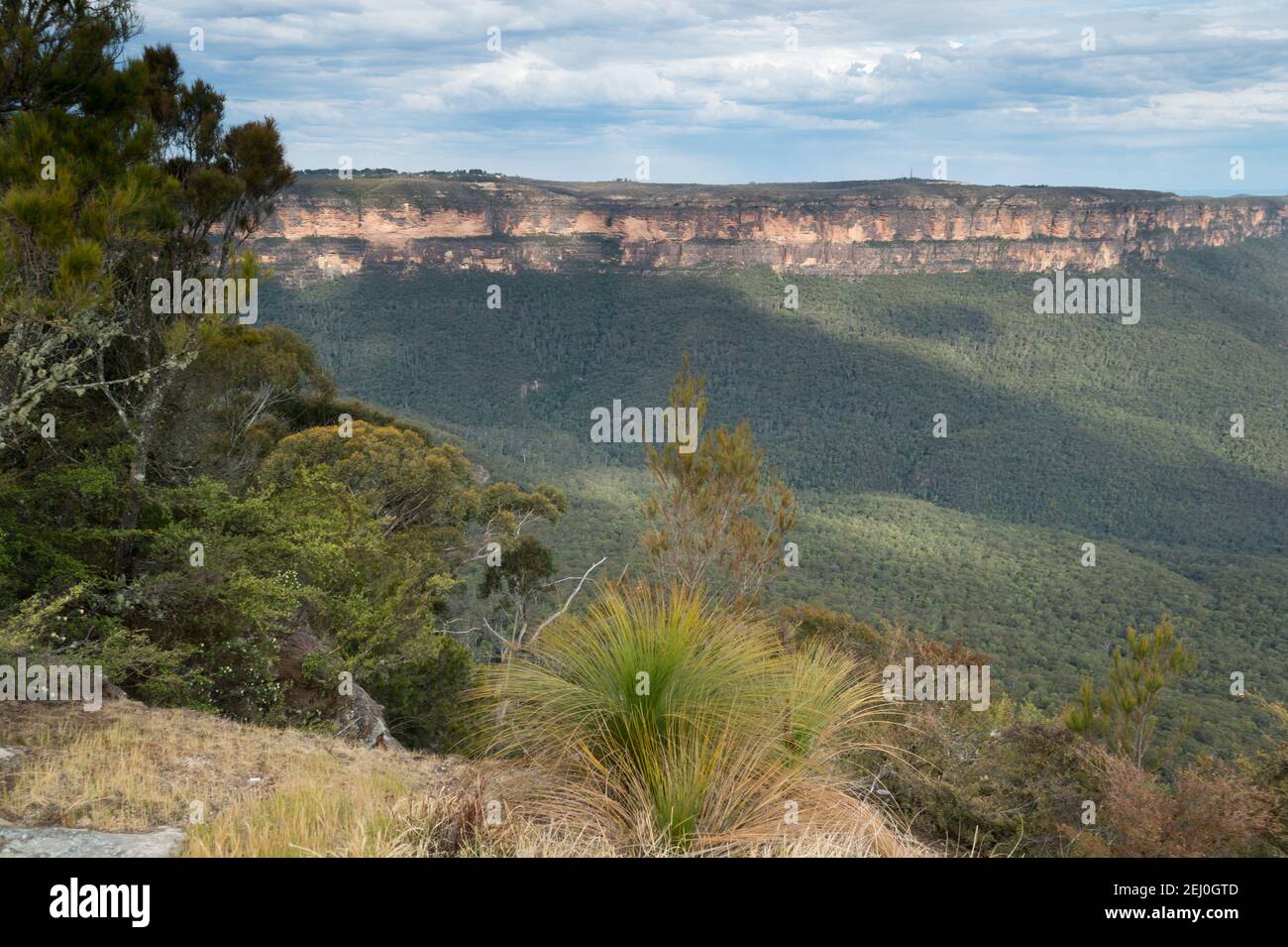 Jamison Valley und Kedumba Walls von Sublime Point, Blue Mountains, New South Wales, Australien. Stockfoto