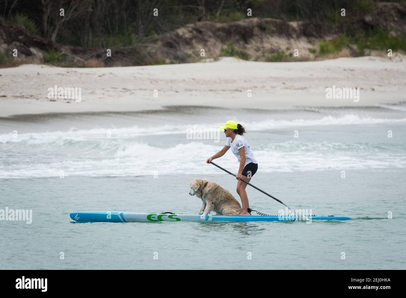 Ein Stand-up Paddlebarder mit ihrem Hund in Husksisson, New South Wales, Australien. Stockfoto