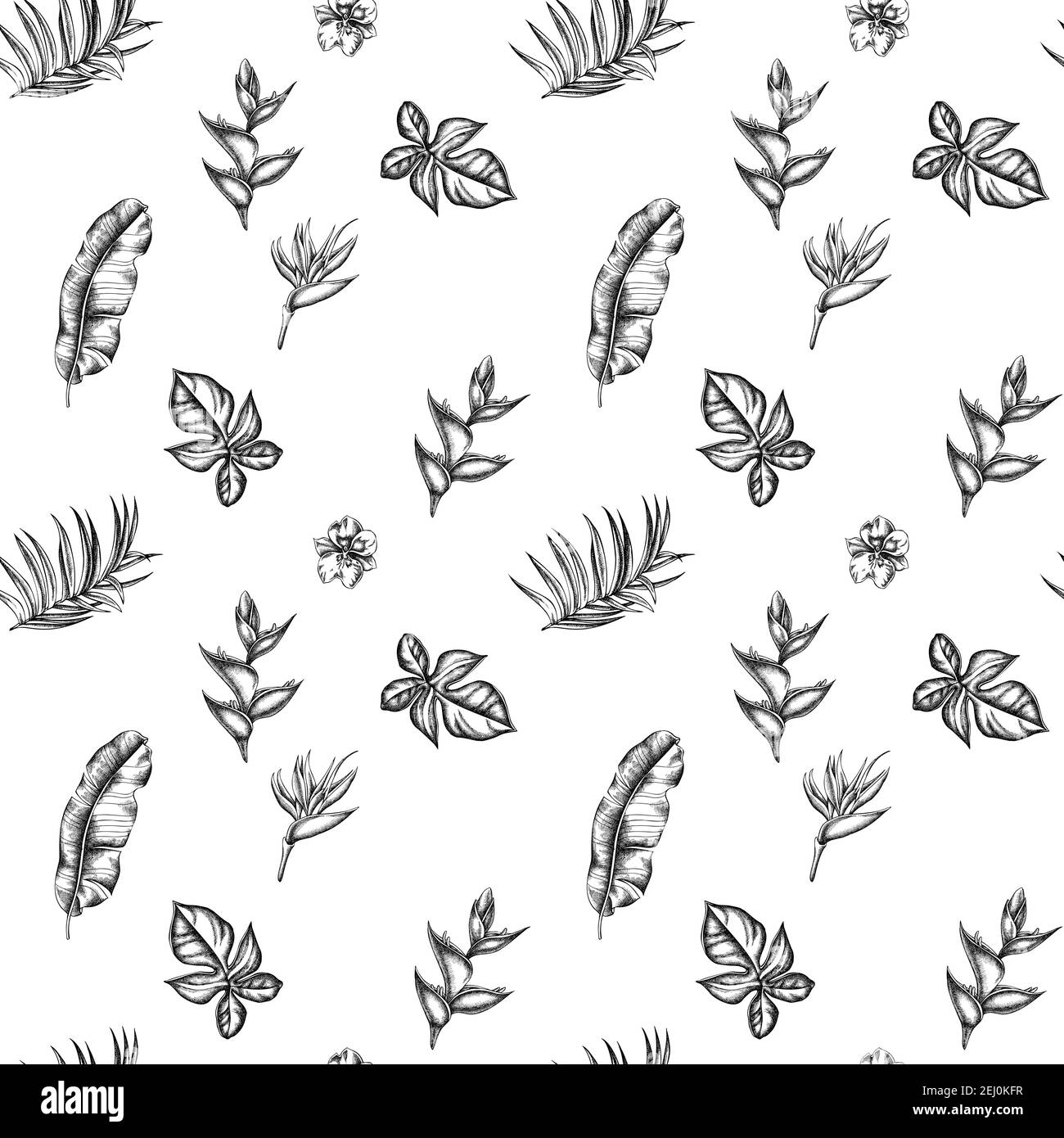 Nahtloses Muster mit schwarzen und weißen Monstera, Bananenpalmenblättern, strelitzia, Heliconia, tropischen Palmenblättern, Orchidee Stock Vektor