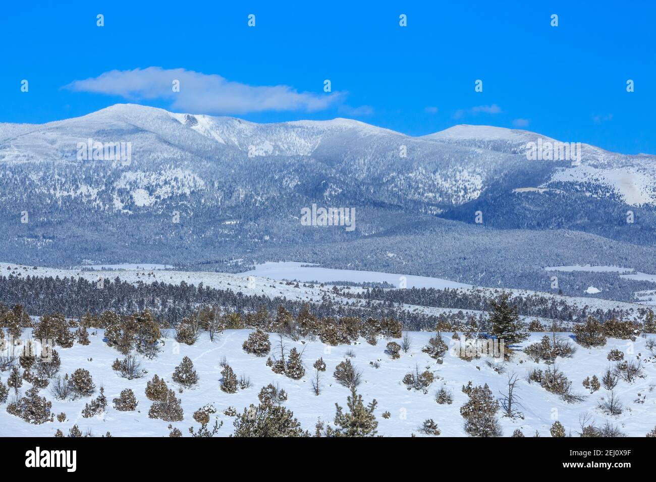 Big belt Berge im Winter in der Nähe von townsend, montana Stockfoto