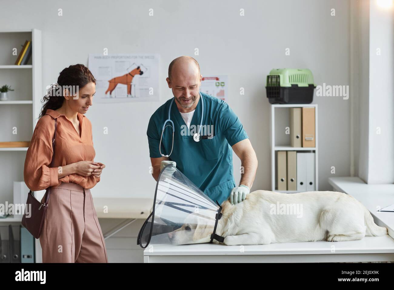 Portrait eines reifen Tierarztes, der Hund in der Tierarztklinik untersucht, mit einer jungen Frau, die ihn beobachtet, Raum kopieren Stockfoto