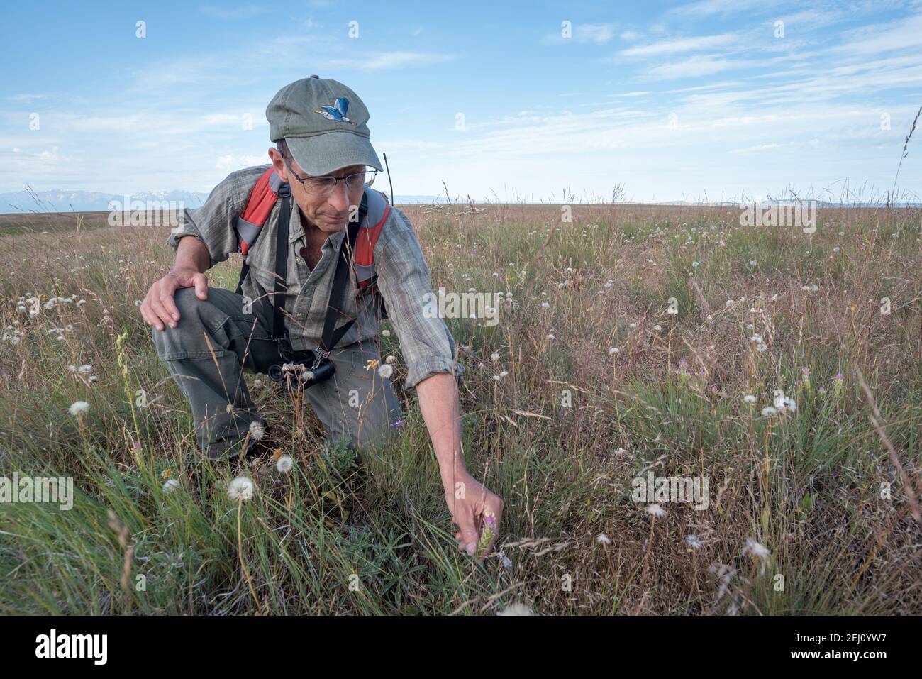 Jeff Fields, Program Manager für Zumwalt Prairie Preserve von TNC in Oregon, überprüft die Bedingungen auf dem Preserve. Stockfoto