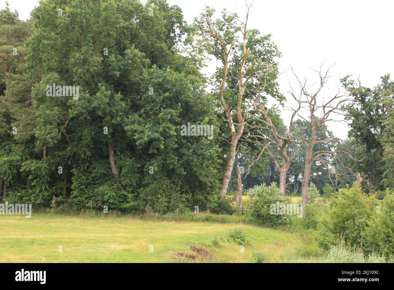 Impressionen aus Bad Gögging Stockfoto