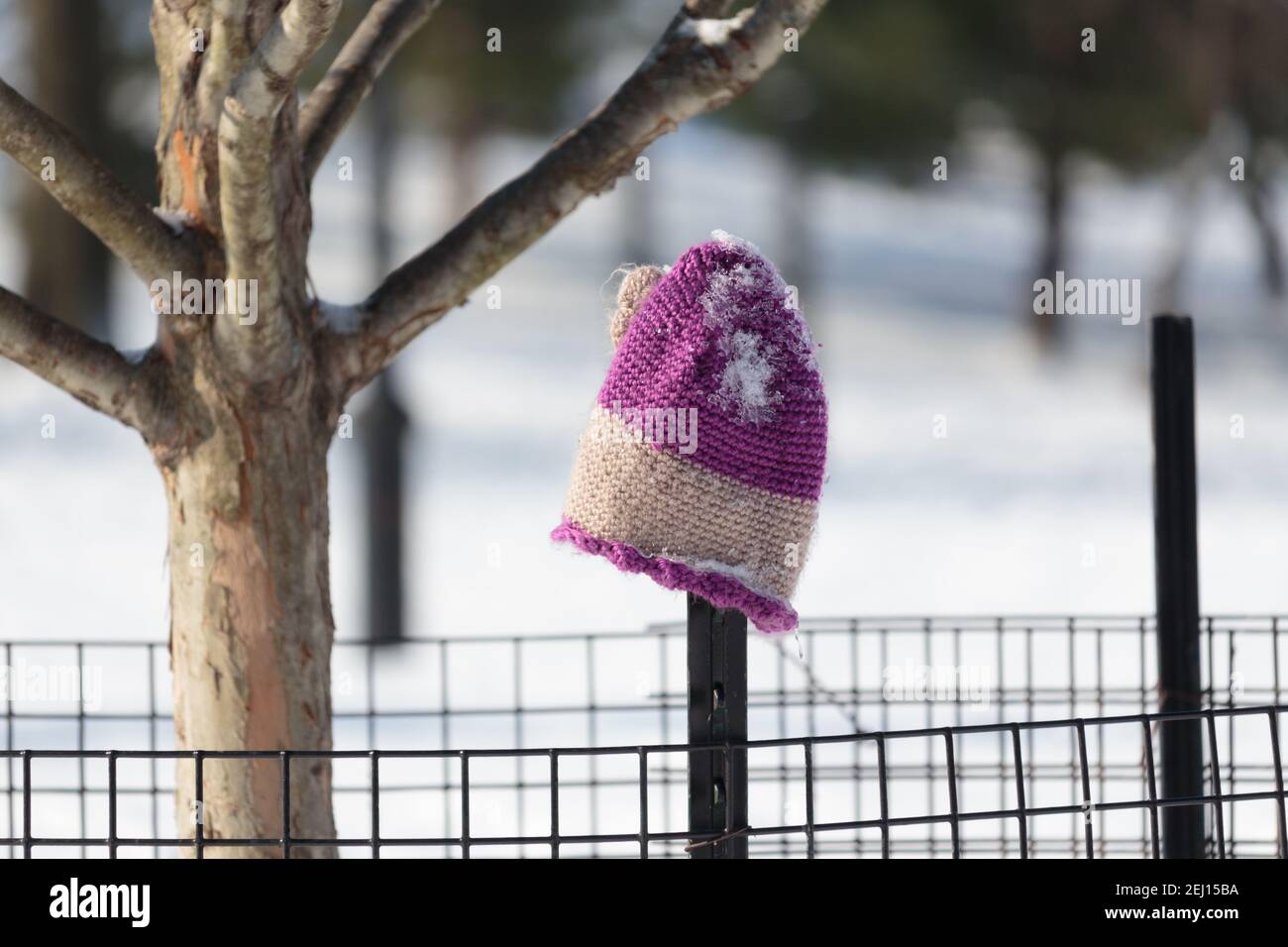 Ein mit Schnee bedeckter rosa Strickhut hängt an einem Parkzaun neben einem Baum, wie verloren, im Winter nach einem Schneesturm bedeckt Schnee den Boden Stockfoto