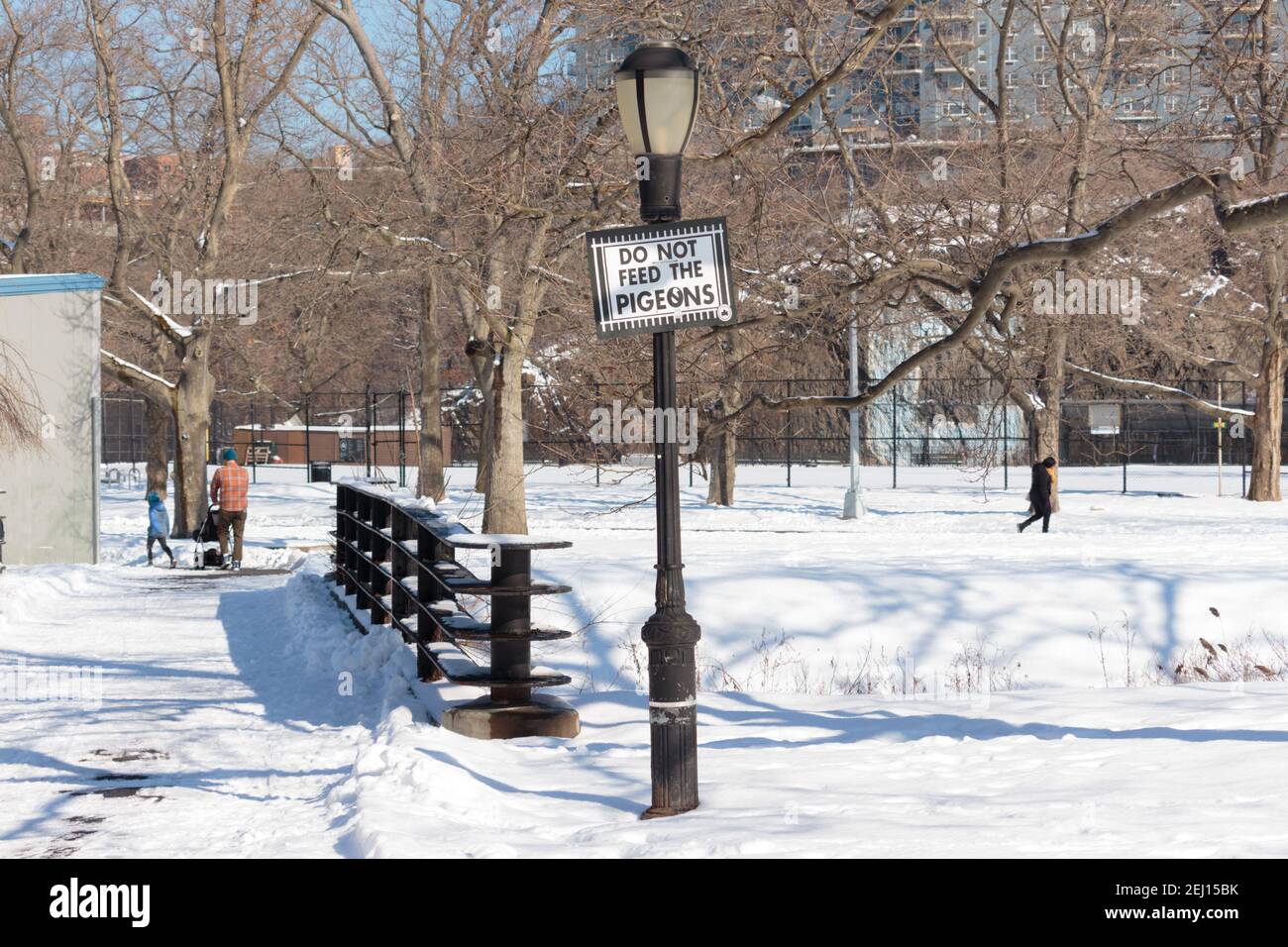 schild auf einem Laternenpfosten lesen Füttern Sie die Tauben im Inwood Hill Park, New York im Winter nicht mit schneebedecktem Boden Stockfoto