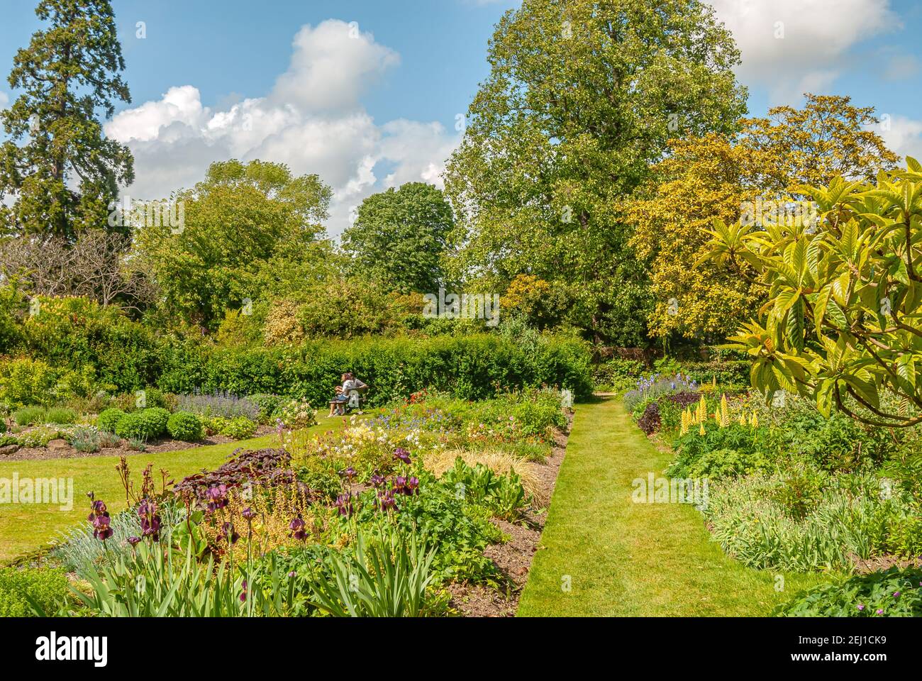 Bishops Palace Garden neben der Chichester Cathedral in West Sussex, England, Großbritannien Stockfoto