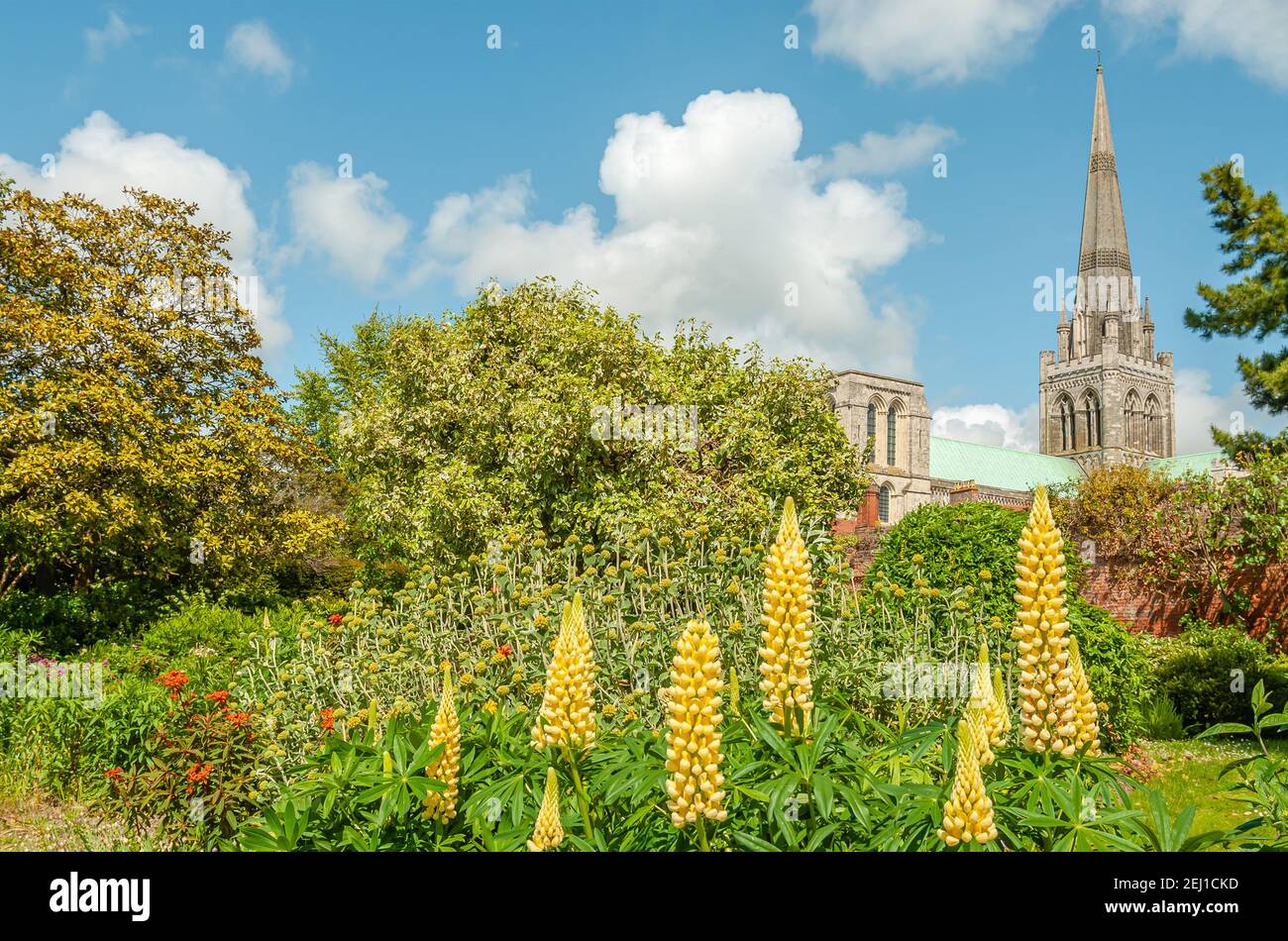 Chichester Cathedral von Bishops Palace Garden im Frühling, West Sussex, England, Großbritannien Stockfoto