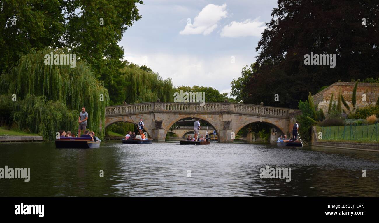 Im Sommer segeln mehrere Pots den Fluss Cam hinunter, Cambridge, England Stockfoto