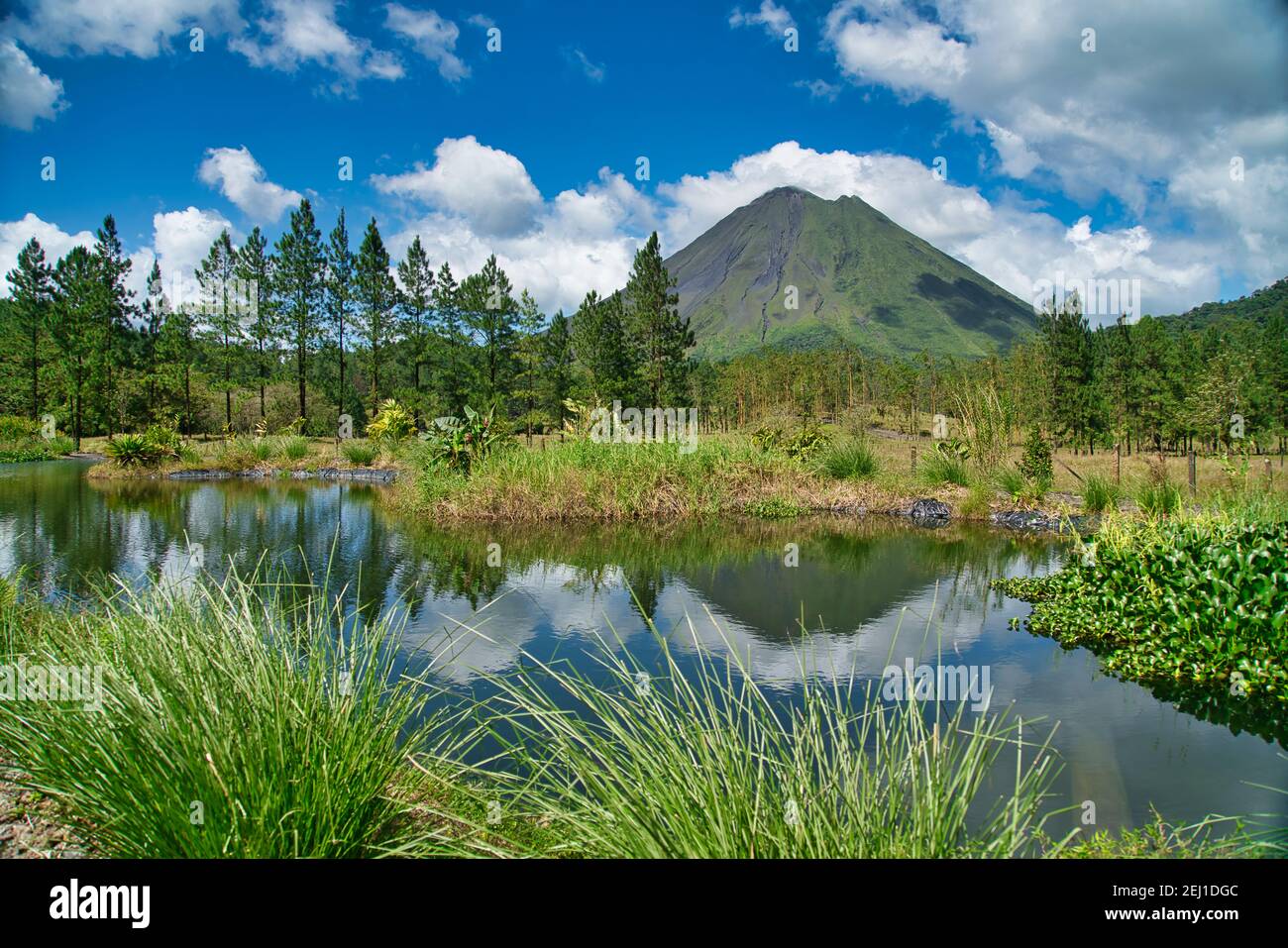 Vulkan Arenal mit Reflexionen in einem kleinen See, Costa Rica Stockfoto