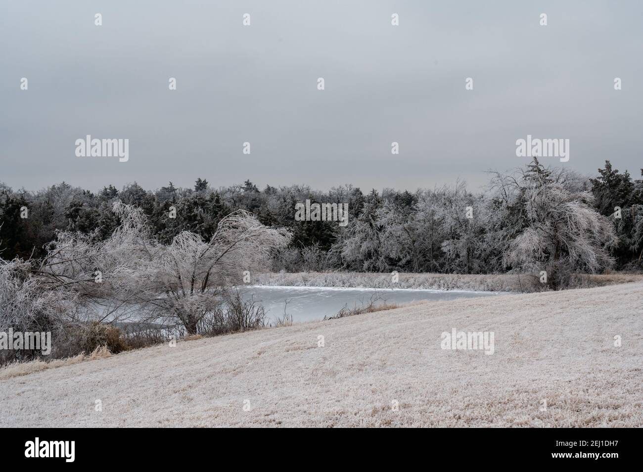 Treibholz gefroren Fotos und Bildmaterial in hoher Auflösung Alamy
