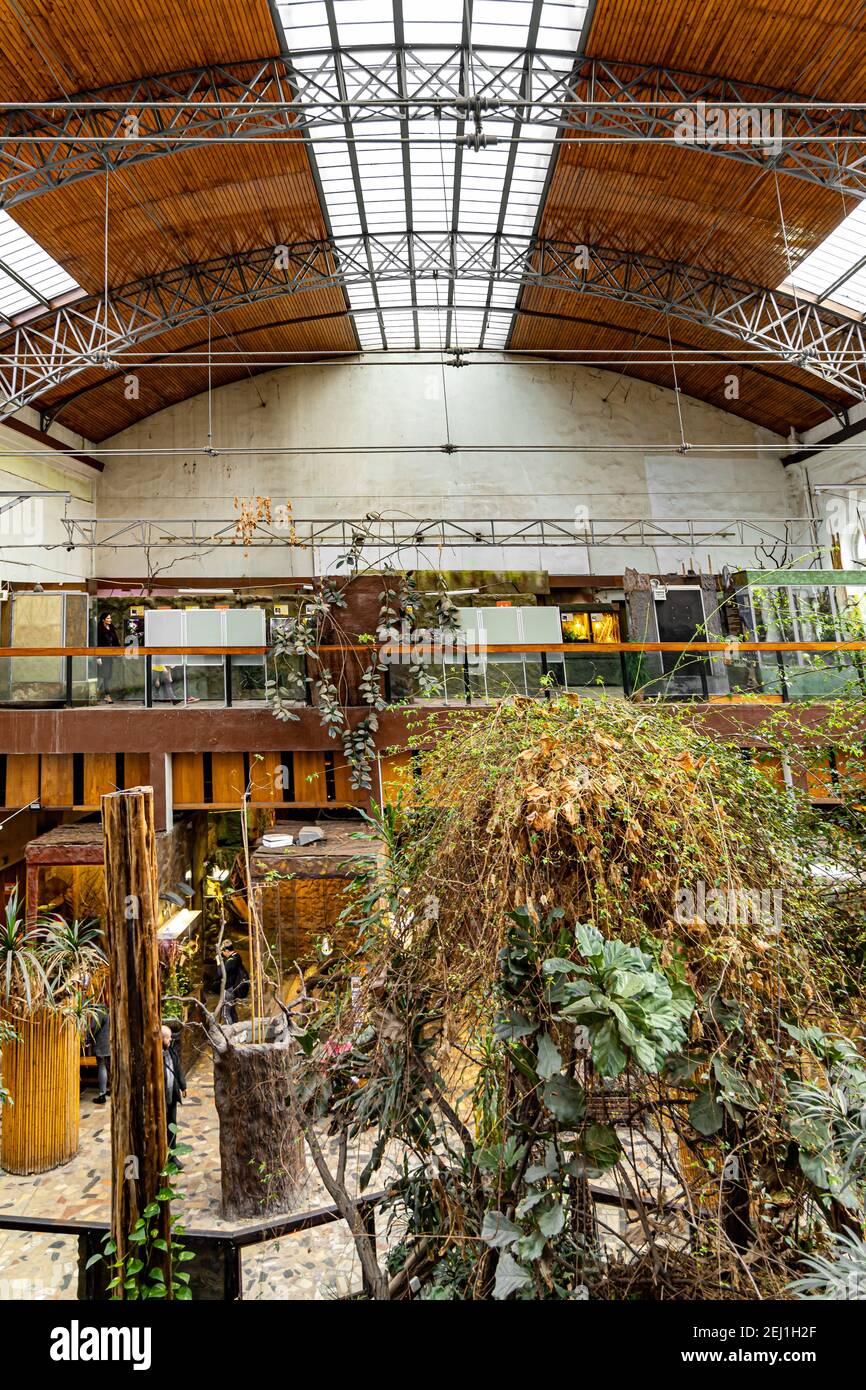 Breslau Februar 1 2020 Innenraum der Haupthalle des Terrariums pavillon in Breslau Zoo Stockfoto