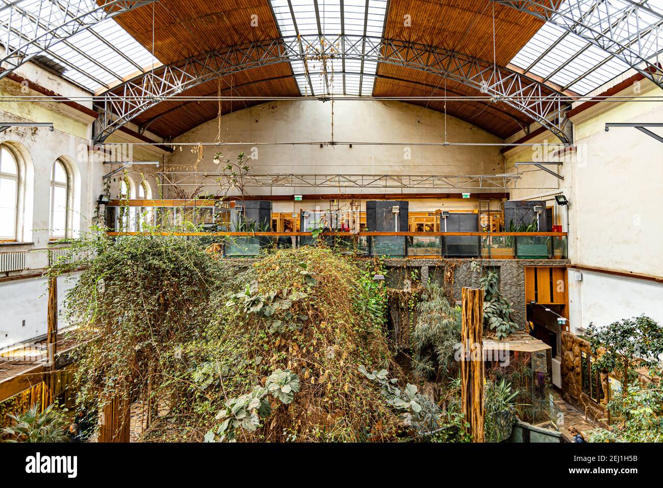 Breslau Februar 1 2020 Innenraum der Haupthalle des Terrariums pavillon in Breslau Zoo Stockfoto