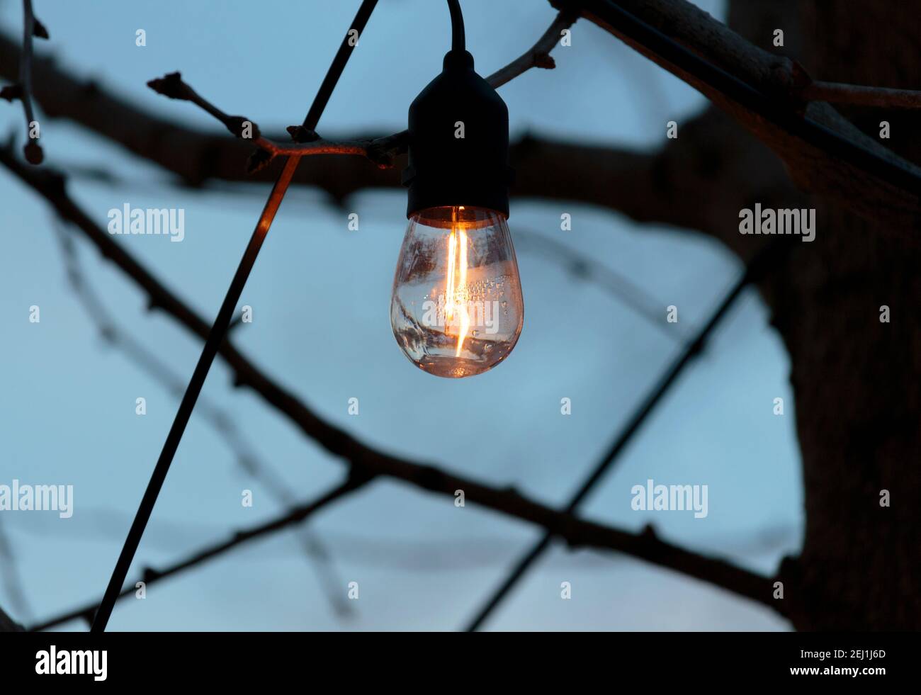 Eine beleuchtete edison-Glühbirne, die an einem Ast hängt Am frühen Abend mit dem Filament und Kondensation auf Die Innenseite der Glasbirne Stockfoto