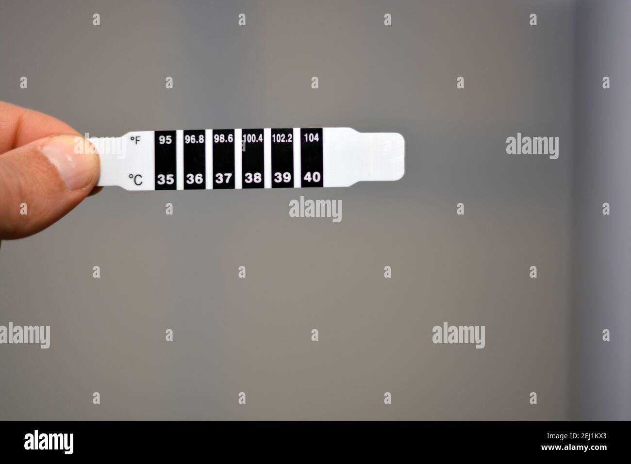 Fast Check digitales Stirn-Thermometer Streifen, Quick Read in Celsius und Fahrenheit Skalen. Stockfoto