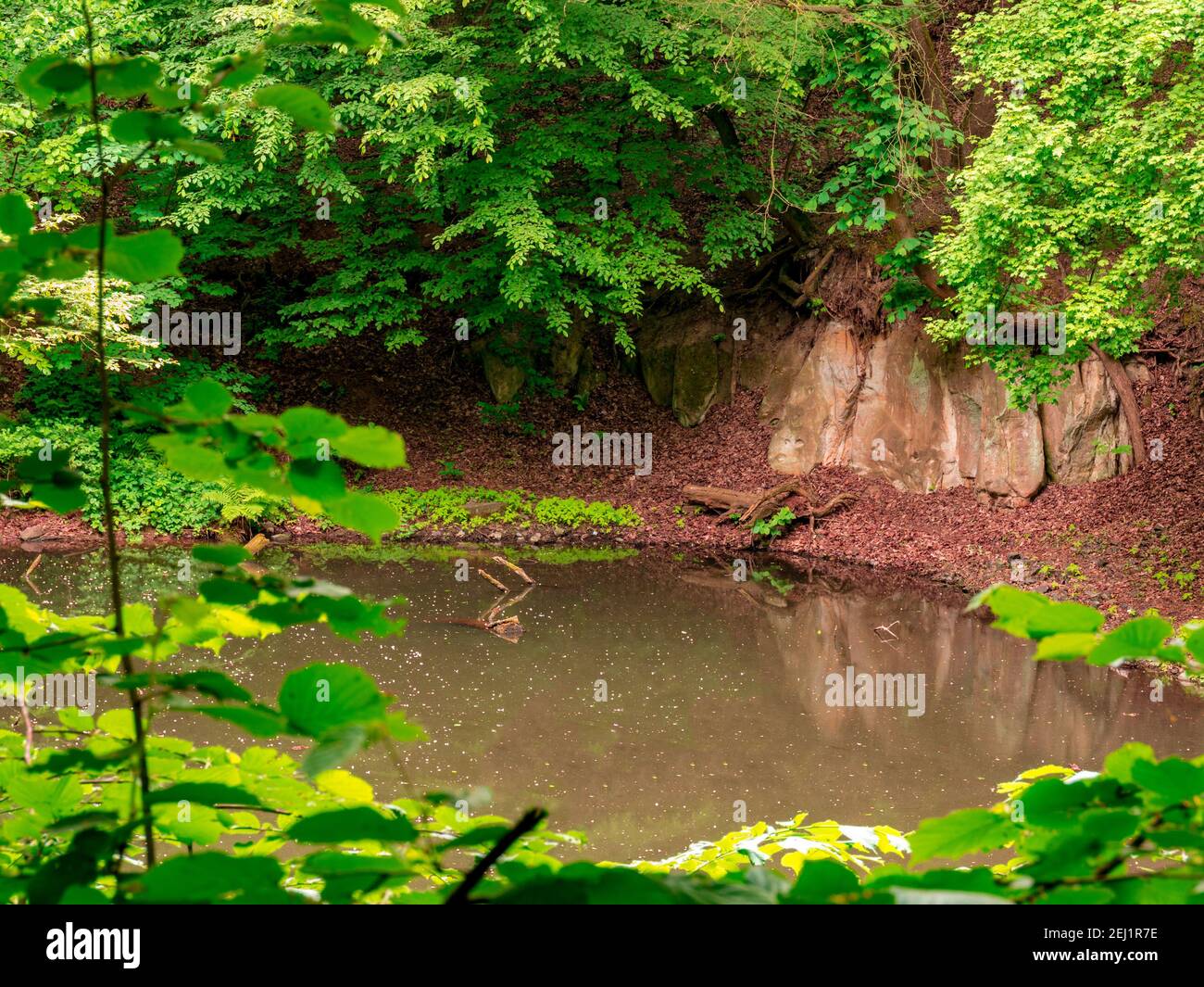 Verborgener kleiner Waldsee, im Hintergrund ist ein Stück Fels enthüllt. Blick umrahmt von einem kleinen Busch. Stockfoto