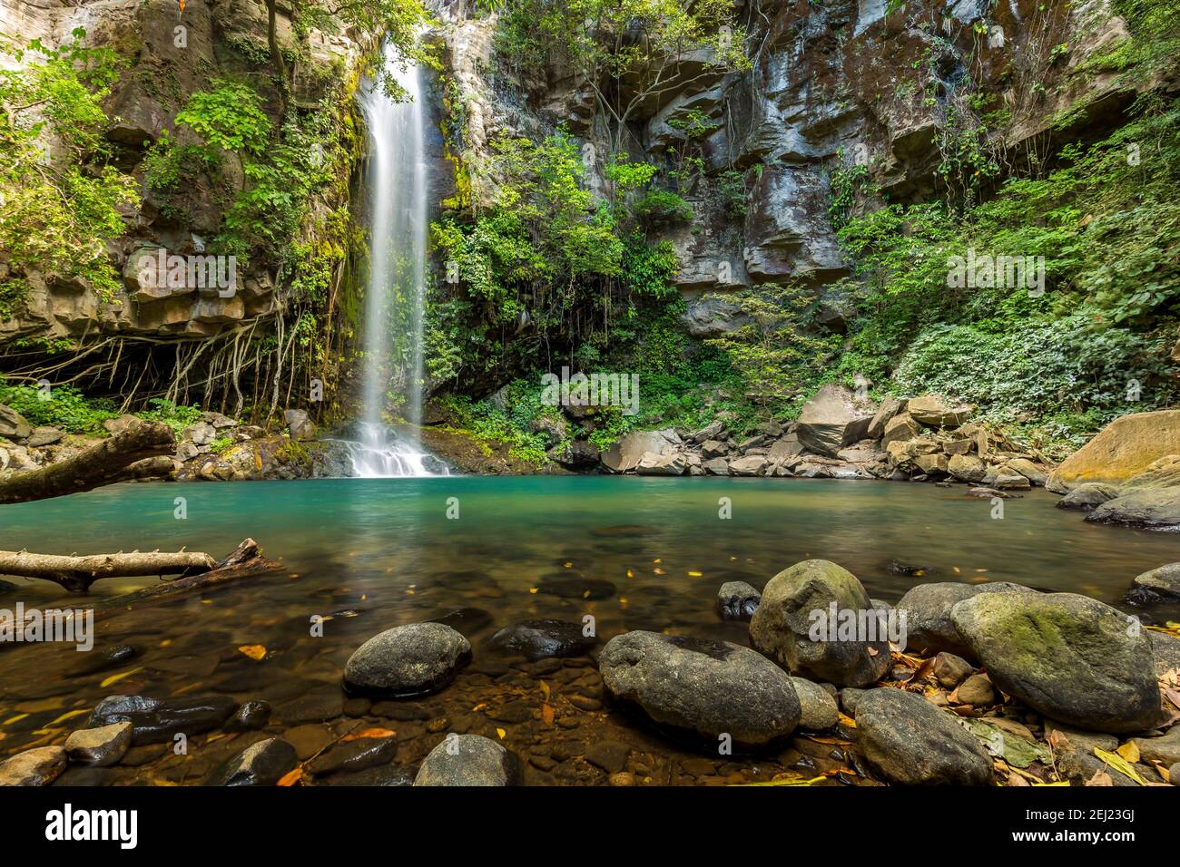Versteckter Wasserfall umgeben von grünen Bäumen, Vegetation, Felsen, Blätter schwimmend auf grünem und klarem Wasser, Rincon de la Vieja, Guanacaste, Costa Rica Stockfoto