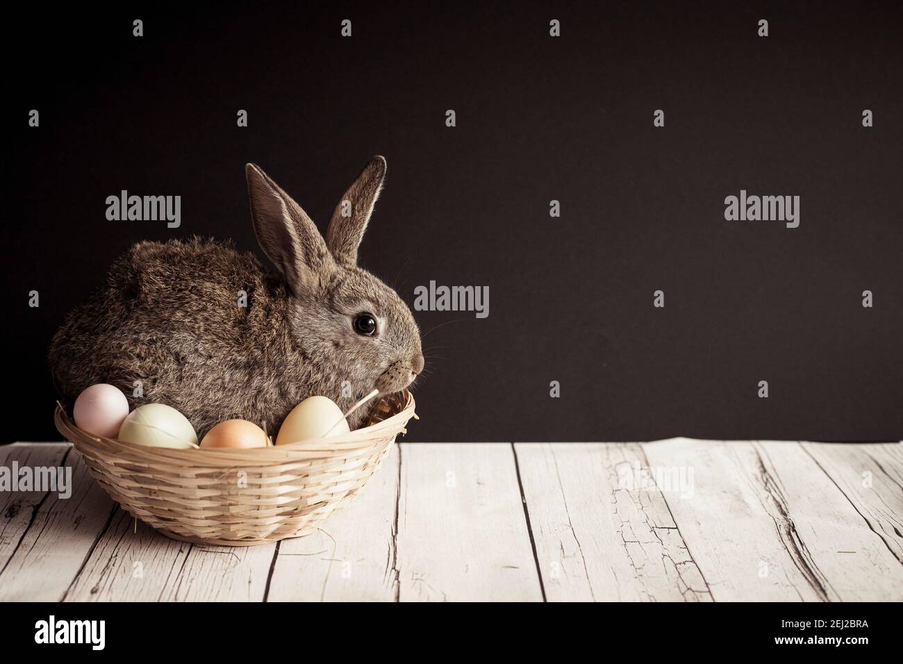 Niedliche Osterhase in einem Korb mit bunten Eiern auf dunklem Hintergrund eingebettet. Frühling Tapete mit Kopierraum. Stockfoto