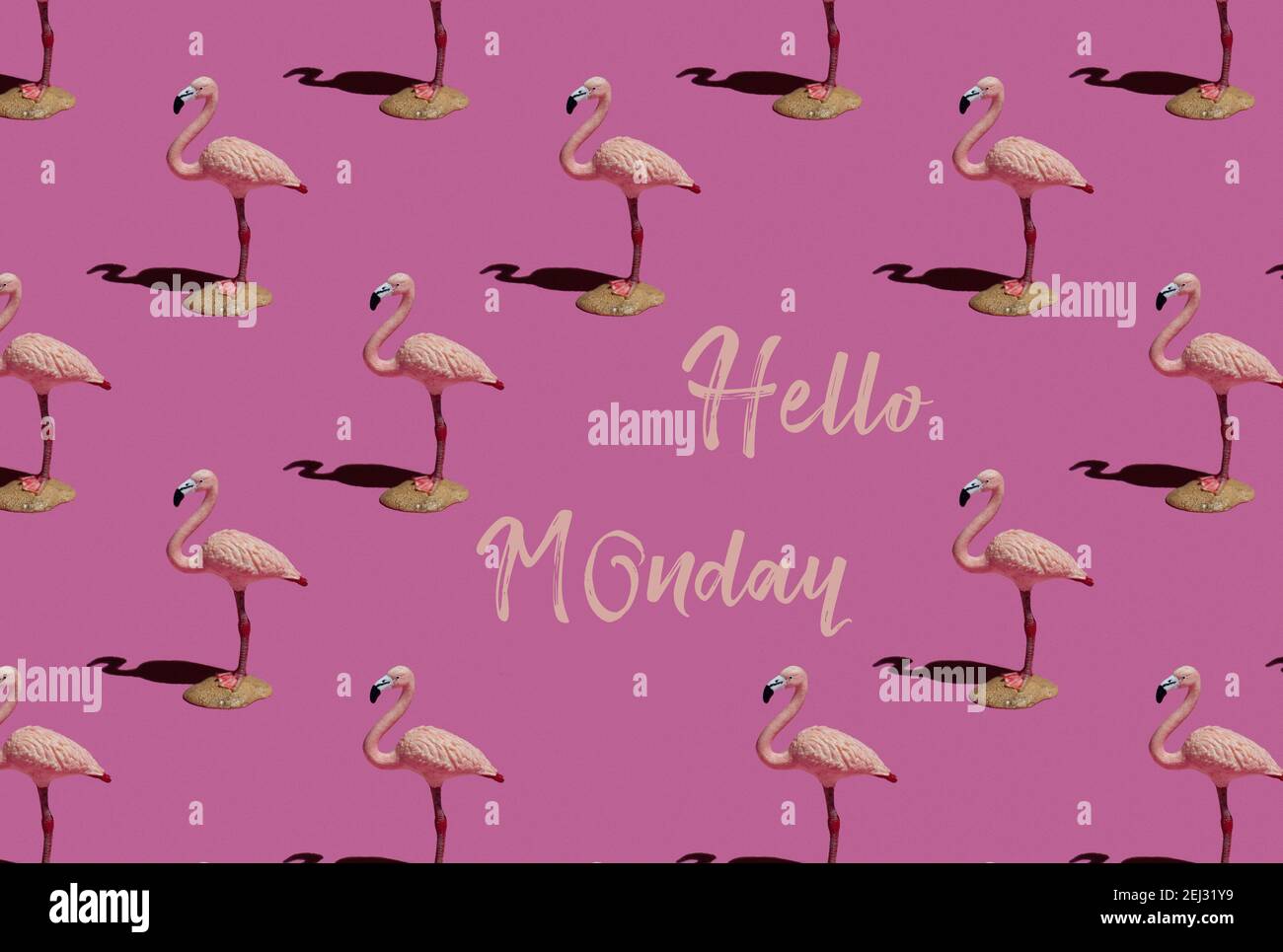 Hallo Montag - Text auf rosa Hintergrund und Flamingo-Muster. Modisches minimalistisches Konzept. Stockfoto