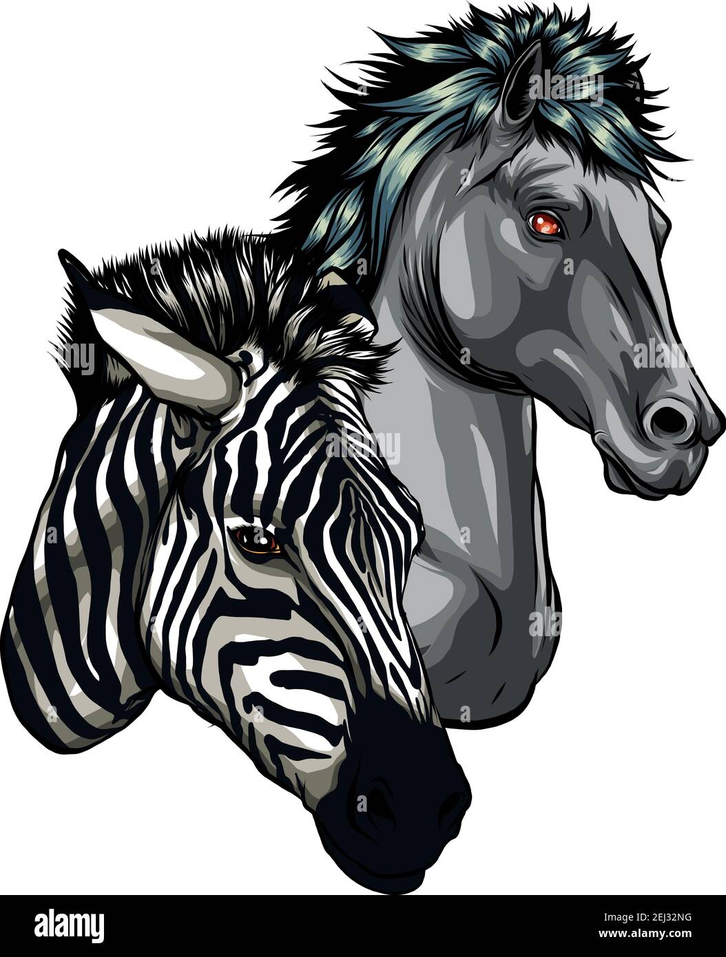 Zebra und Pferd Köpfe Profil Vektor Illustration Stock Vektor