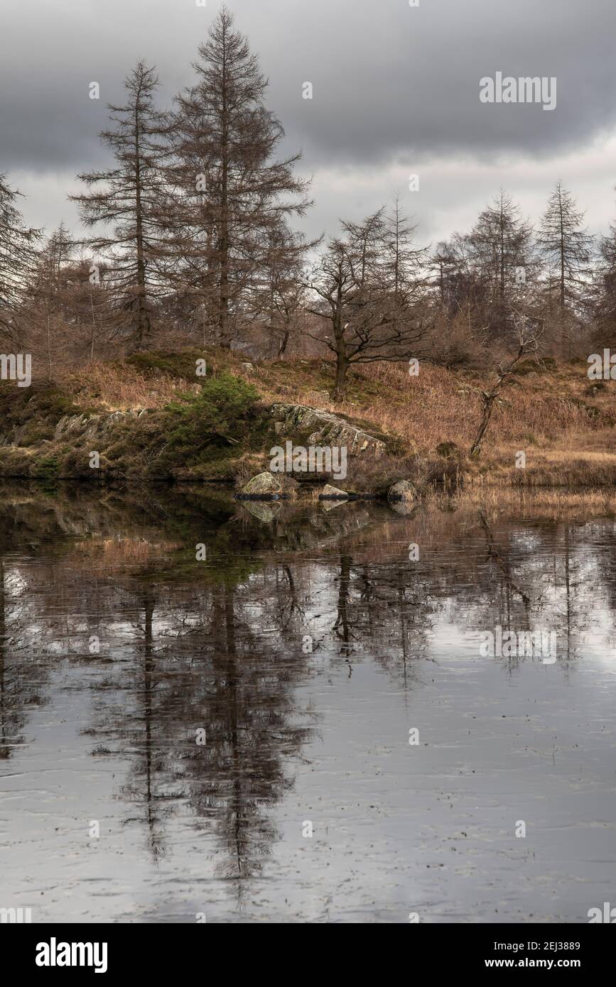 Epische Winter Landschaft Bild Ansicht von Holme fiel in Lake Bezirk in Richtung schneebedeckten Bergketten in der Ferne in herrlich Abendlicht Stockfoto