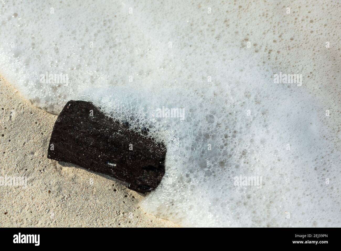 Eine schwarze Kohle an Land gewaschen Stockfoto