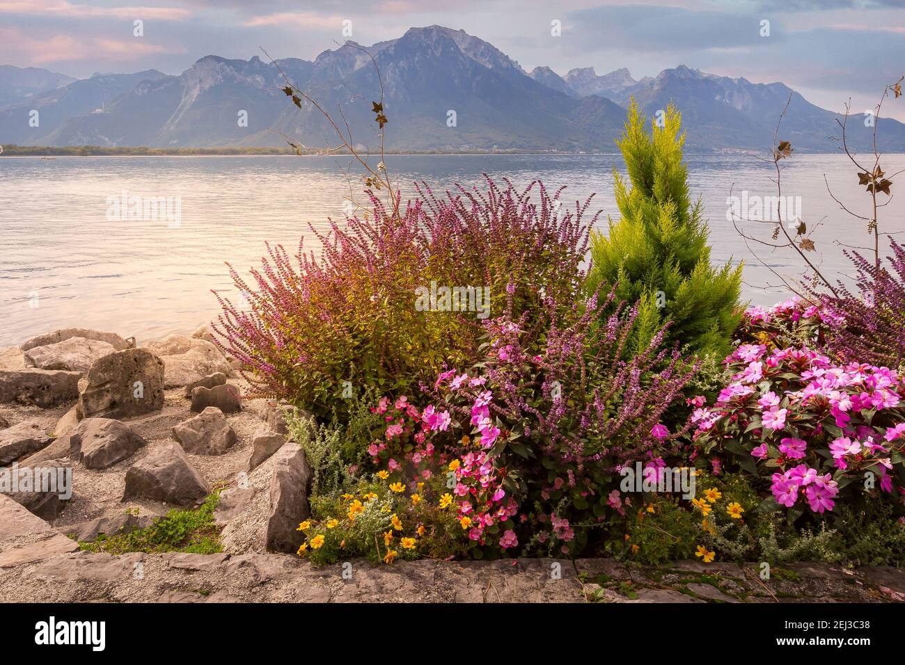 Blumen blühen an der Promenade des Genfer Sees, der Montreux Riviera, der Schweiz und den Schweizer Alpen Stockfoto