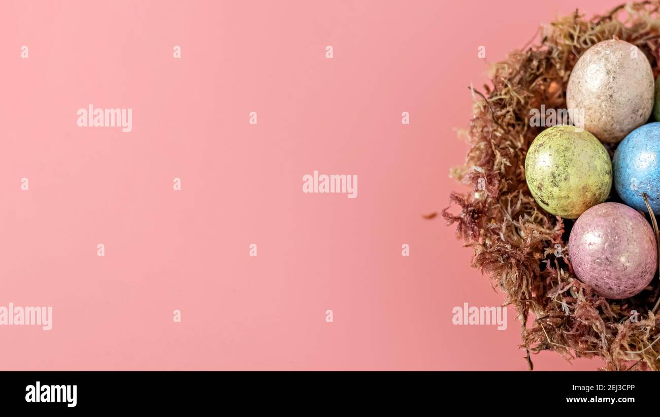 Ostereier in einem natürlichen Nest mit Moos auf einem rosa Hintergrund. Blick von oben. Stockfoto