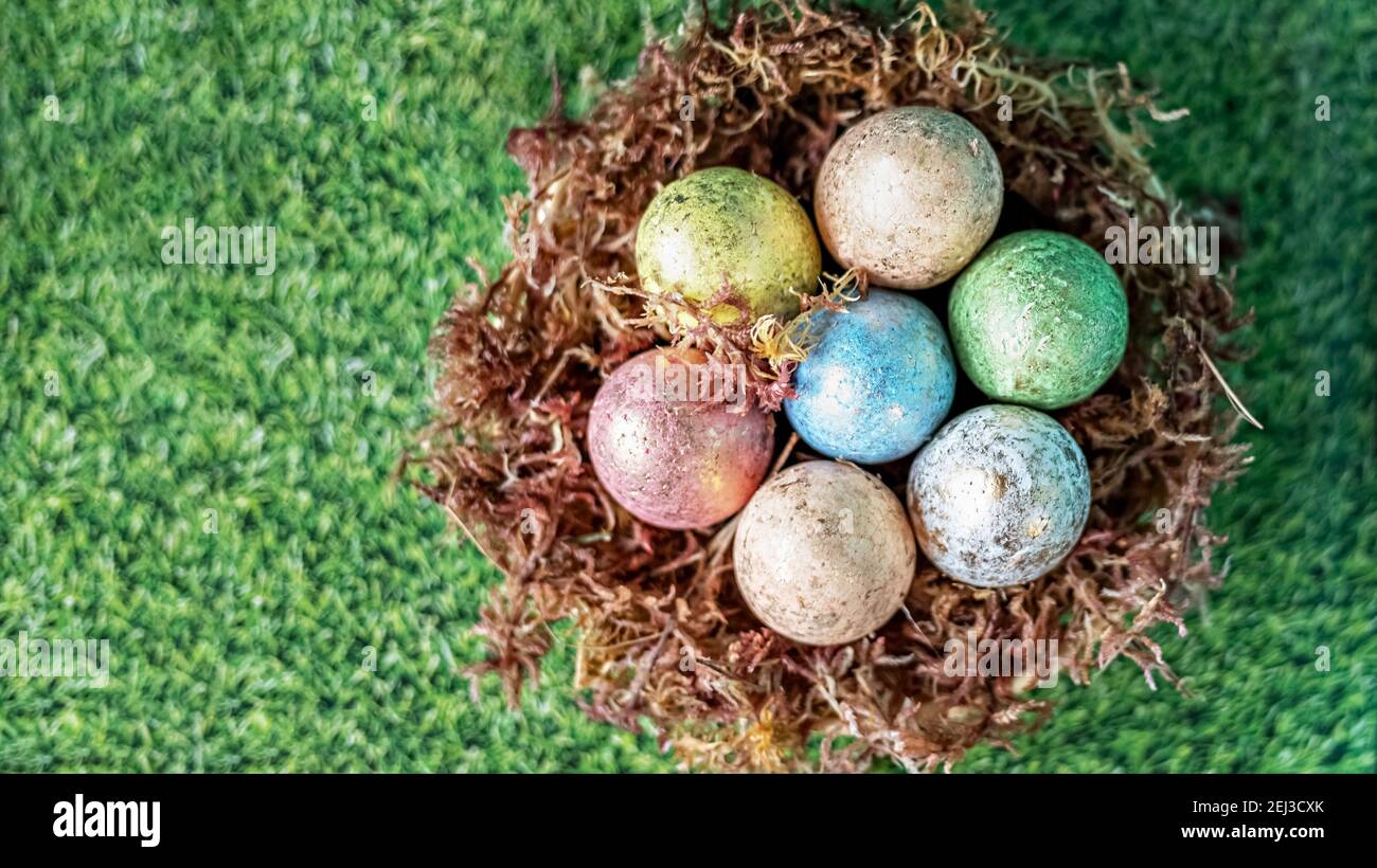Ostereier in einem natürlichen Nest mit Moos auf grünem Hintergrund mit Grasstruktur. Blick von oben. Stockfoto