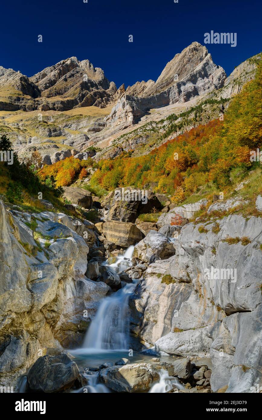 Herbst im Pineta-Tal (Nationalpark Ordesa und Monte Perdido, Pyrenäen, Spanien) ESP: Otoño en el valle de Pineta (PN Ordesa Monte Perdido, Aragón) Stockfoto