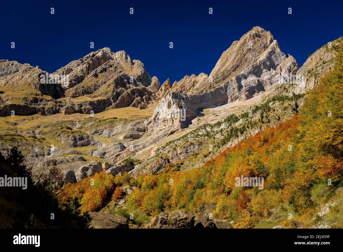 Herbst im Pineta-Tal (Nationalpark Ordesa und Monte Perdido, Pyrenäen, Spanien) ESP: Otoño en el valle de Pineta (PN Ordesa Monte Perdido, Aragón) Stockfoto