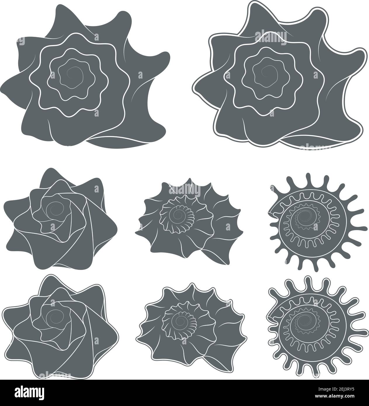 Vector Set von Muscheln. Isolierte Objekte auf Weiß. Stock Vektor