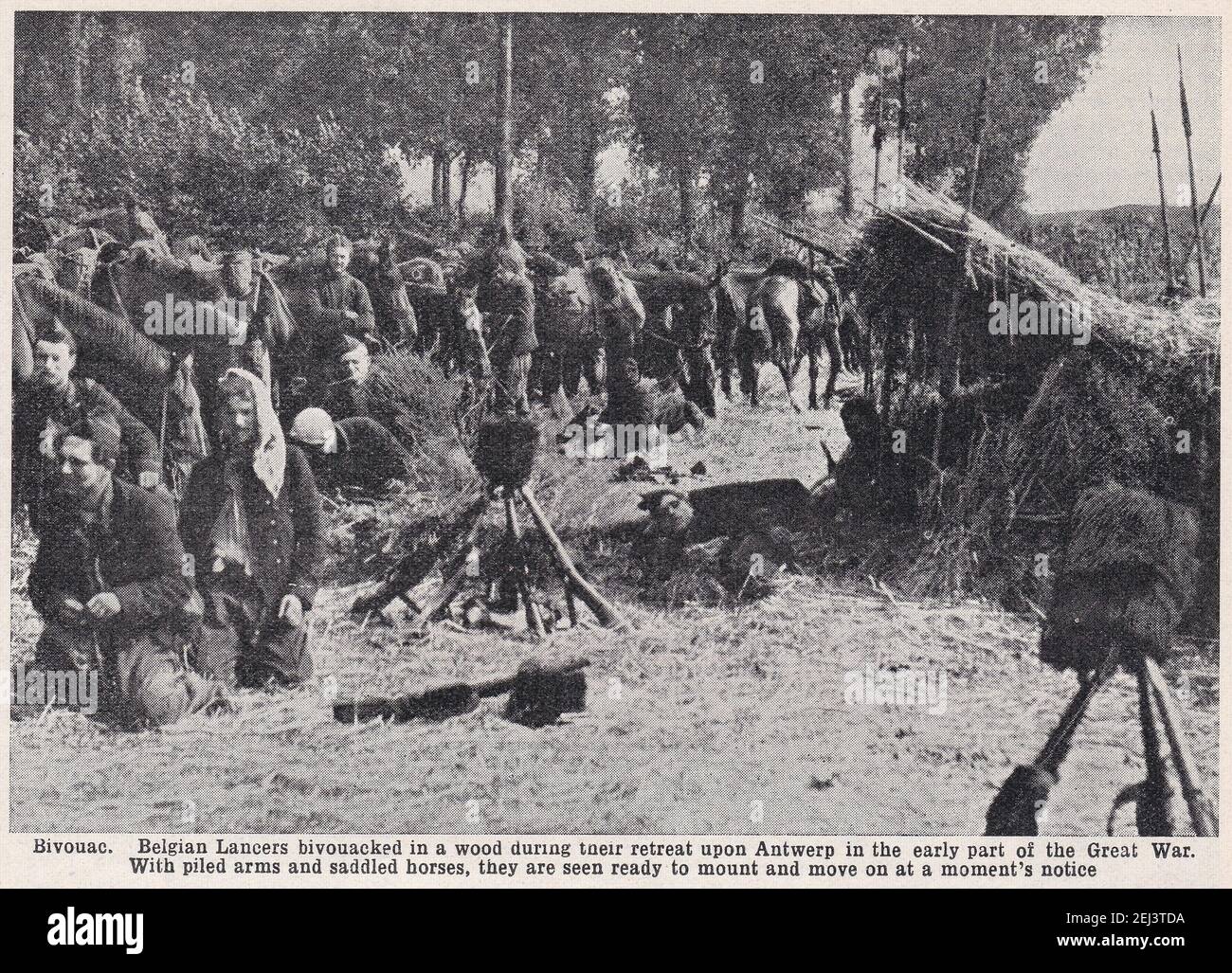 Belgische Lancers biwacked in einem Wald während ihres Rückzugs nach Antwerpen in der frühen Hälfte des Ersten Weltkriegs. Stockfoto