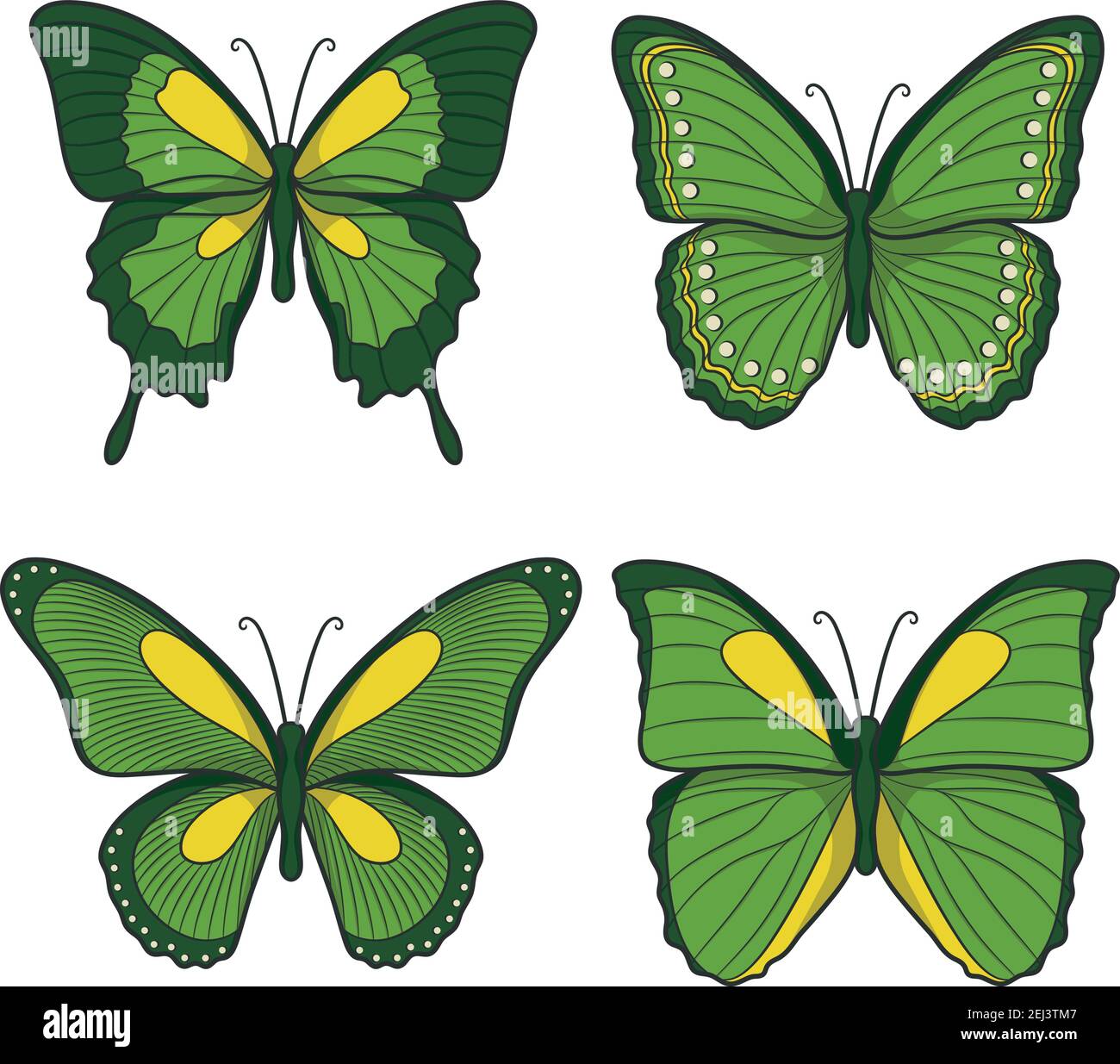 Set von grünen Vektor Schmetterlinge. Isolierte Objekte auf weißem Hintergrund. Stock Vektor