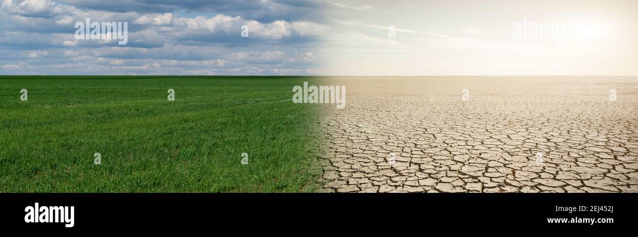 Landschaft mit halb grünen Feld und halb Wüste. Konzept der globalen Erwärmung Stockfoto