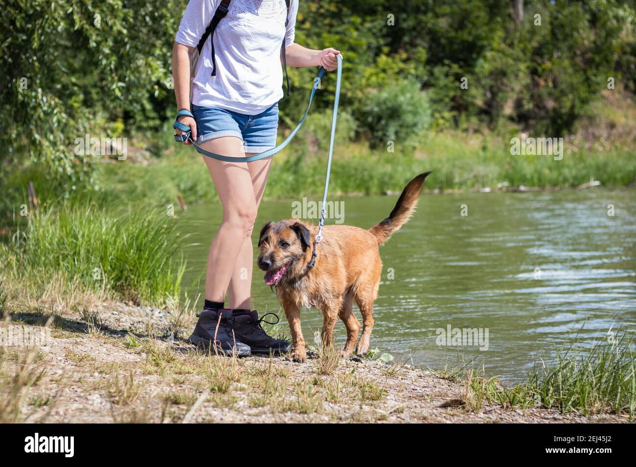 Haustierbesitzerin mit ihrem Hund, der das Wasser vom See genießt. Frau und Mischlingshund an der Tierleine. Stockfoto