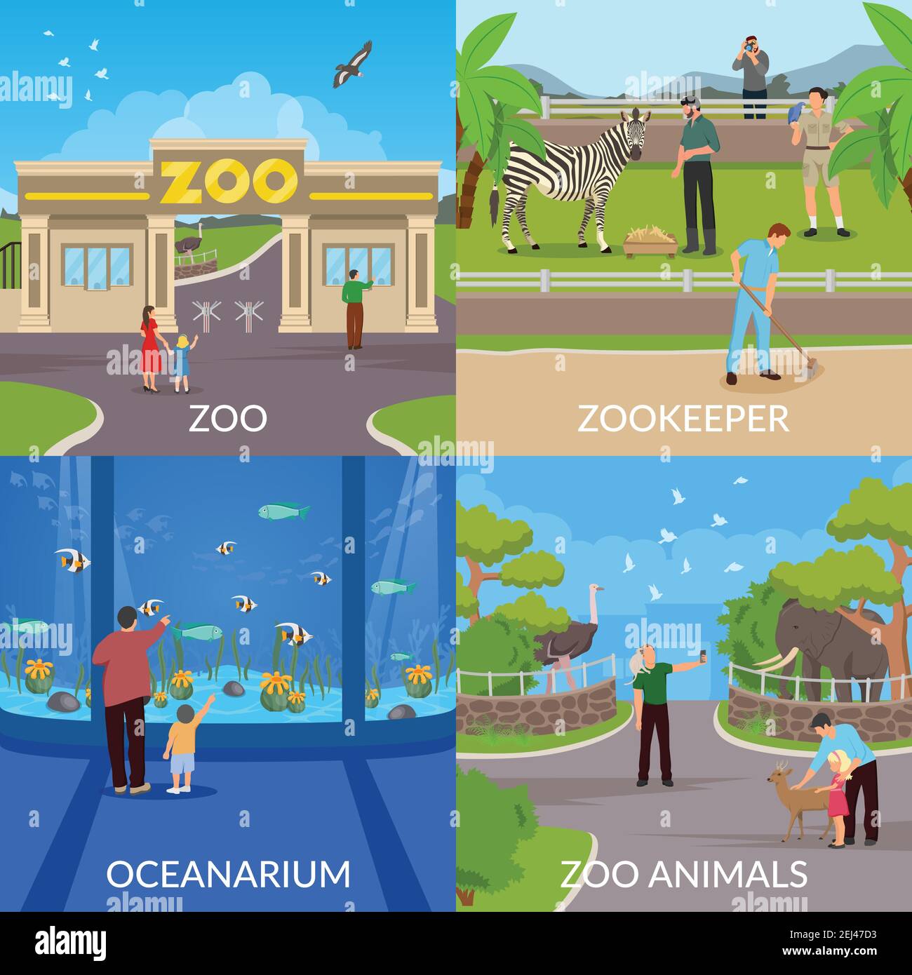 Zoo 2x2 Design-Konzept Set der Eintrag in Zoo Zookeeper ozeanarium und Tiere quadratische flache Symbole Vektor-Illustration Stock Vektor