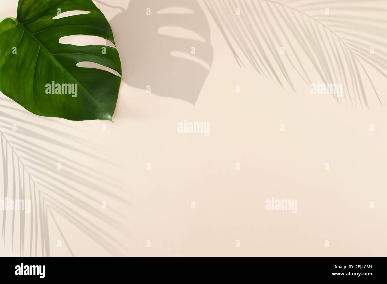 Grüne tropische Blattschatten auf pastellbeigem Hintergrund. Minimales Sommerkonzept mit Palmen und Monstera-Baumblättern. Kreative Zeichnung des Lichtes a Stockfoto