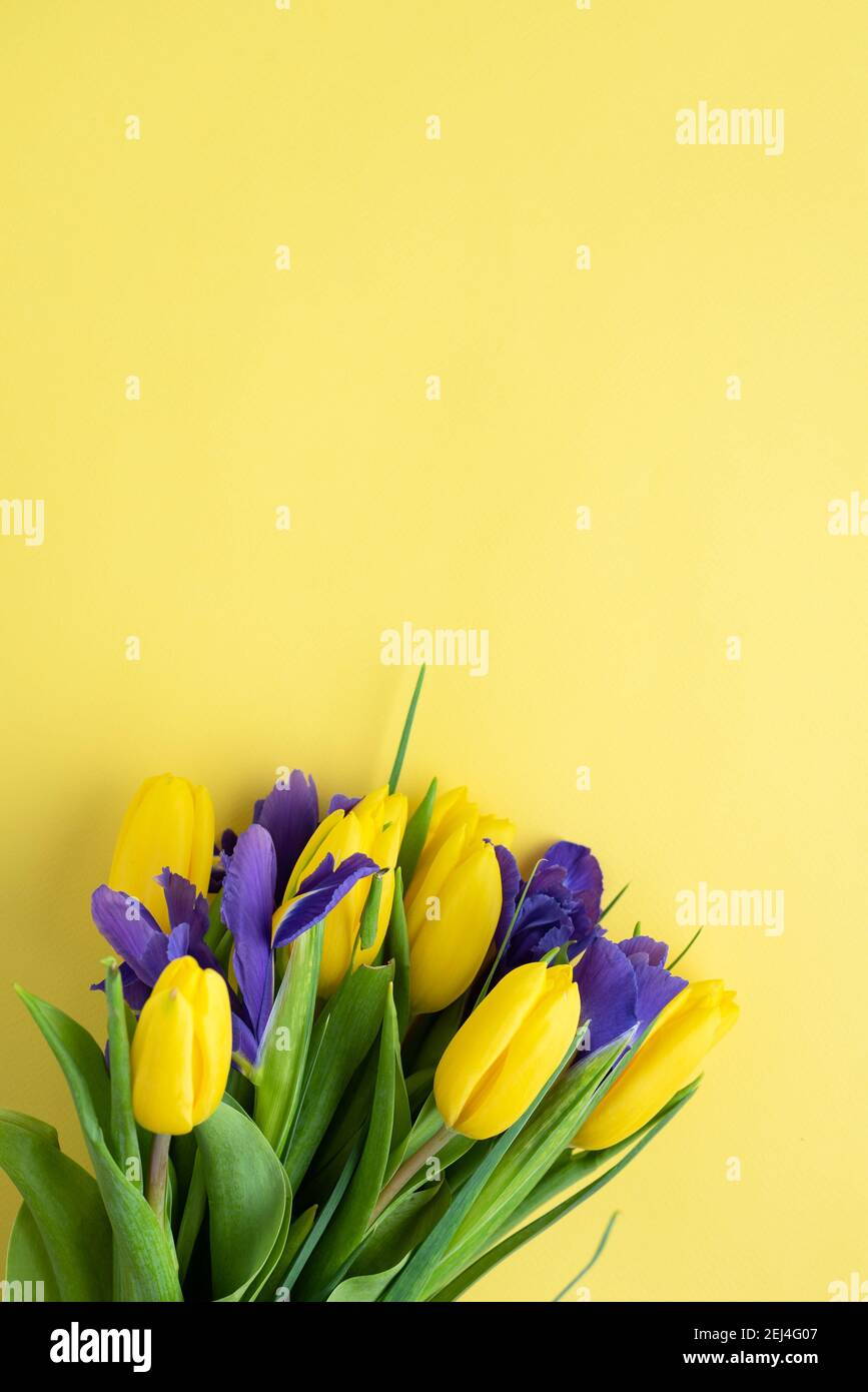 Bouquet von gelben Tulpen und Iris auf gelbem Hintergrund. Draufsicht Stockfoto