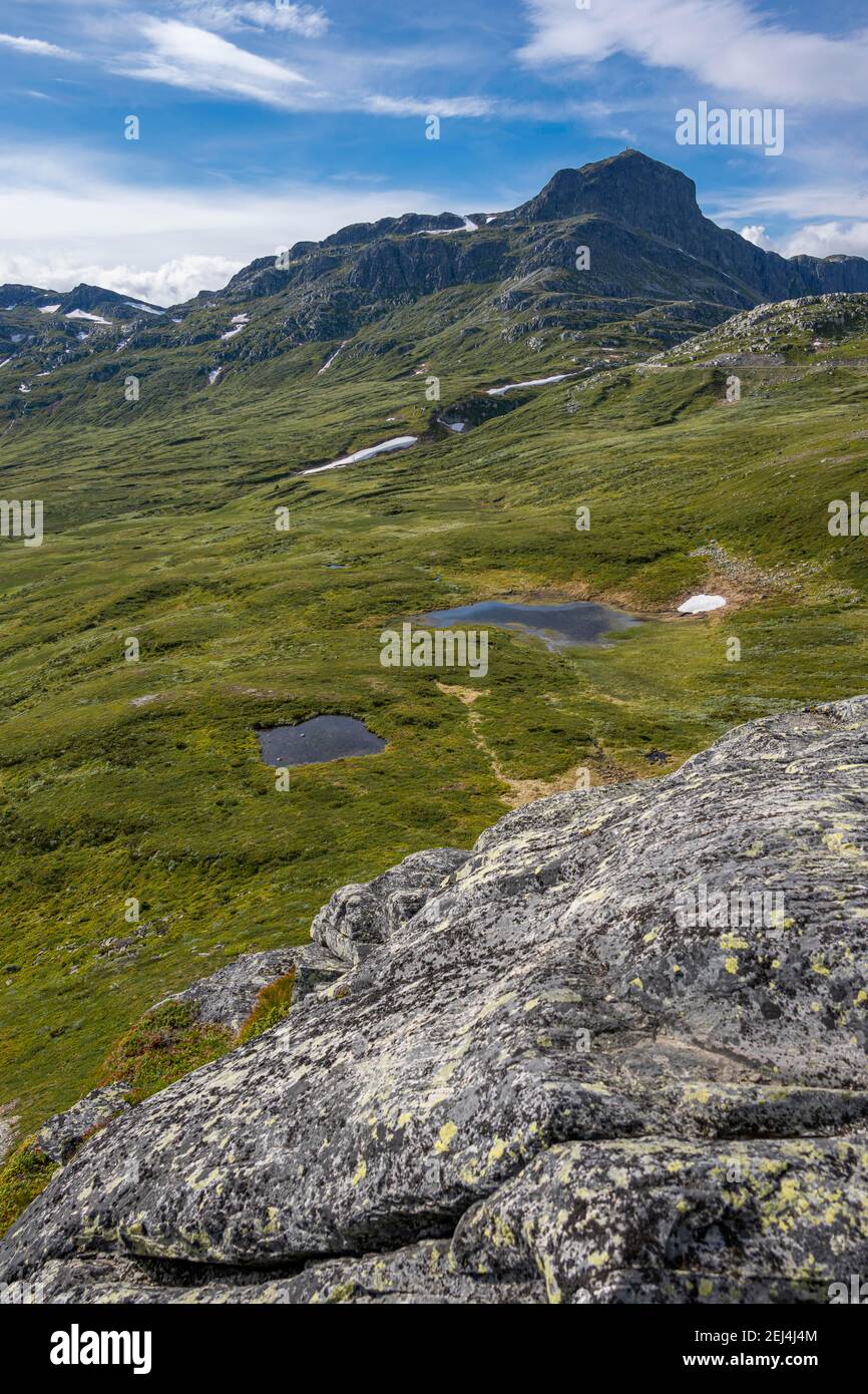 Tundra, karge Berglandschaft mit Berg Bitihorn, Oystre Slidre, Jotunheimen Nationalpark, Norwegen Stockfoto