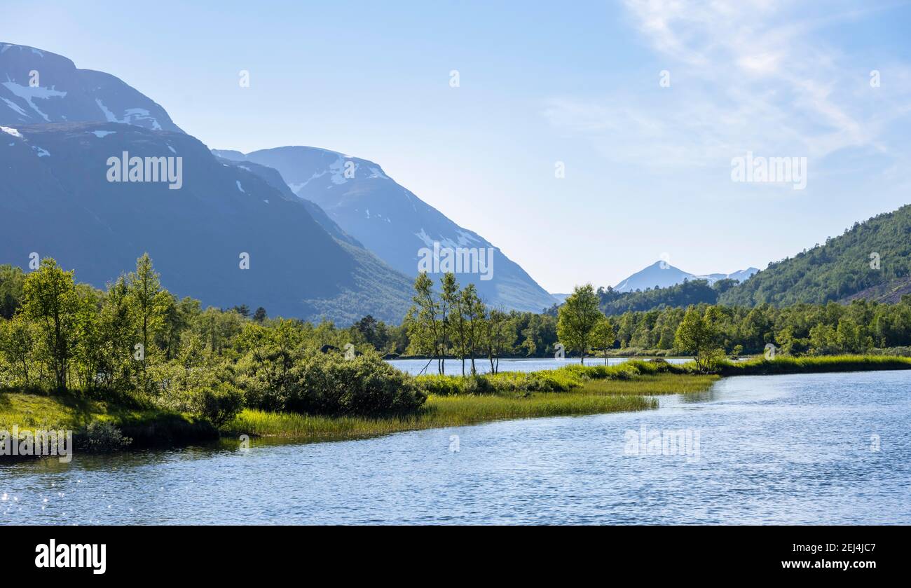 Fluss im Innerdalen Hochtal, Gebirge, Trollheimen Berggebiet, Sunndal, More Og Romsdal, Vestlandet, Norwegen Stockfoto